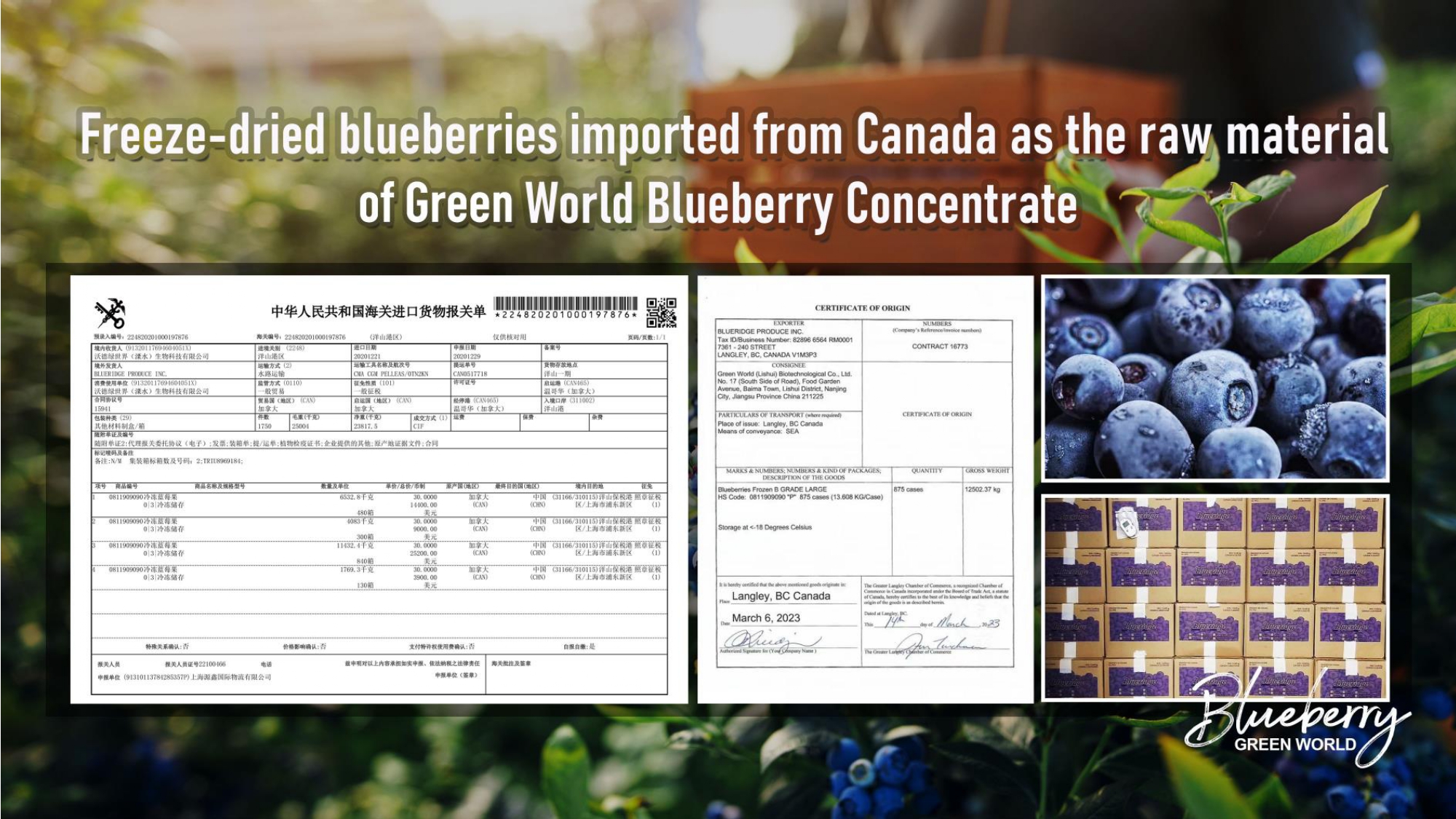 Education content image